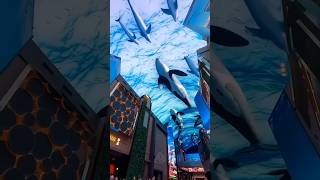 Top 5 Amazing Places On Earth That Dont Feel Real