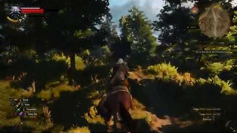 The Witcher 3 (Riding Roach)