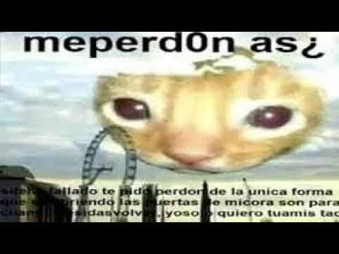 Featured image of post Me Perdonas Meme Texto