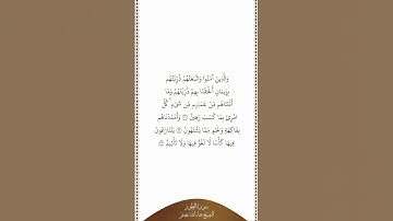 تلاوة في دقيقة سورة الطور الآيات من ٢١ إلى ٢٣ الشيخ عبدالله بصفر
