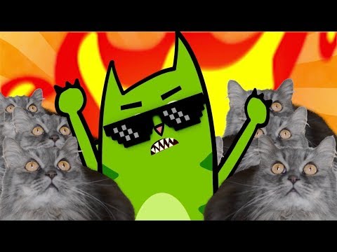 This Cat Video Is Fire - Parry Gripp