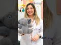 Metropol Hastanesi l Çocuk Sağlığı ve Hastalıkları Kliniği