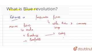 What is Blue revolution?