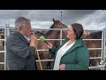 Fermín Gogorza, operador comercial navarro que acude habitualmente a la feria de San Isidro.