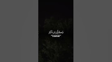 #عبدالرحمن_مسعد #تلاوة_خاشعة #قرآن #الله #القرآن_الكريم #راحة_نفسية #اكسبلور #لايك #ترند #ذكر_الله