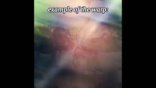 FRACTAL WARP FOR WARPY STYLE EDITS