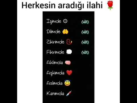 Hərkəsin aradığı ilahi