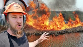 Our pond is GROSS… let’s fix it with FIRE