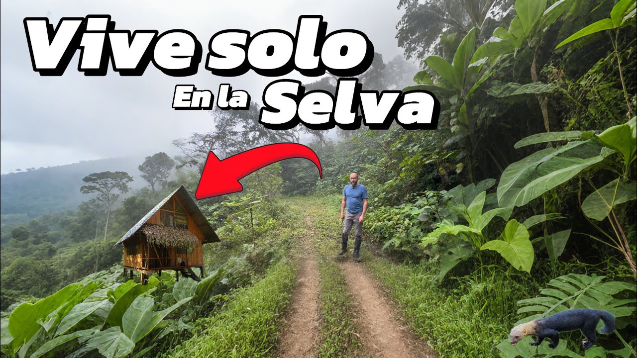 DEJO todo para VIVIR SOLO EN LA SELVA cuidando animales SALVAJES Y árboles