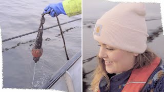 Analysing New Data on our Oyster Restoration Project!  VLOG