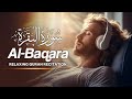 سورة البقرة كاملة رقية للبيت وعلاج للسحر القارئ الشيخ هاني العزوني    