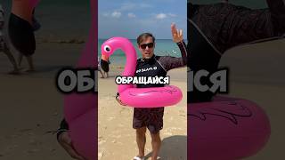 Похожие аниме часть 23 #необъятныйокеан #днисакамото #поднятиеуровняводиночку #борьбавпрямомэфире