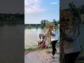 Grass Cutting Machine Throwing Weeds into Pond! Satisfying Farming Process