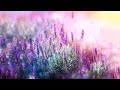 10 Hours of Relaxing Music - Sleep Music, Piano Music for Stress Relief, Sleeping Music (Jennifer)
