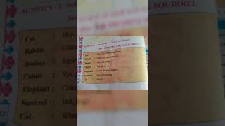 Std 5 The Dreaming Squirrel Avani Dave