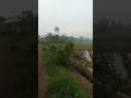 #kampungyangindahalamdesanya #kampunghalaman #kangenkampunghalaman #kampung