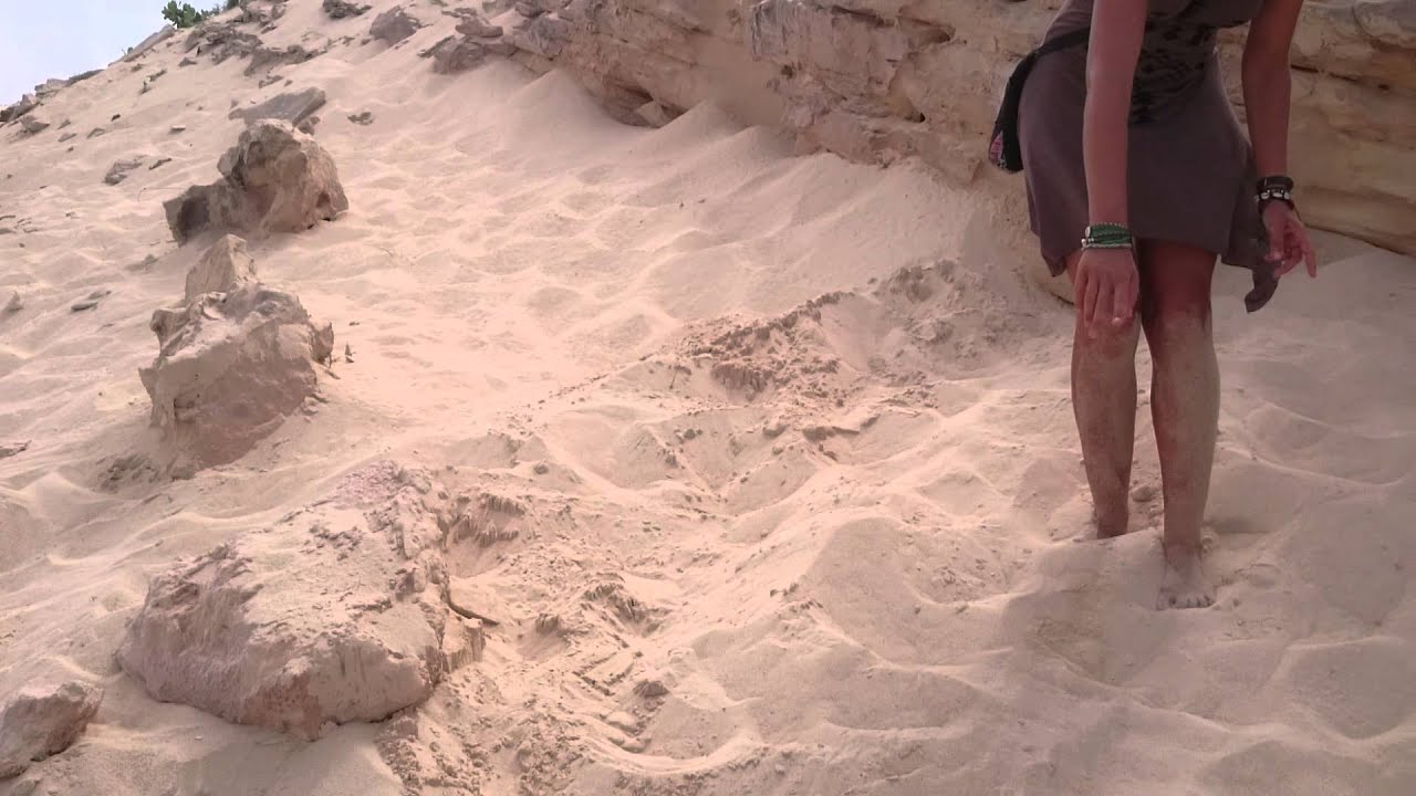 Cape Verde Boa Vista Loggerhead Sea Turtles Real adventures with Mia ...