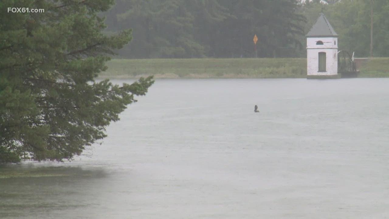 Steady soaking rain helps Connecticut's drought - YouTube