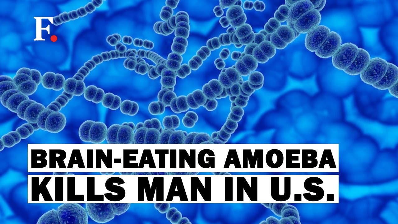Florida Man Dies After Being Infected With Brain-Eating Amoeba - YouTube