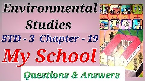 Std. 3 EVS. Lesson 19 My School Workbook Answer Digest