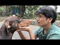 DOG SHORT FILM | MISSING POCKET || MOHAK MEET