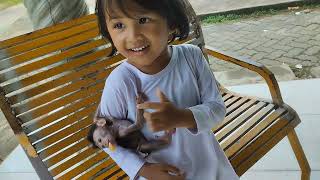 Sehari bermain sama baby monkey 😍