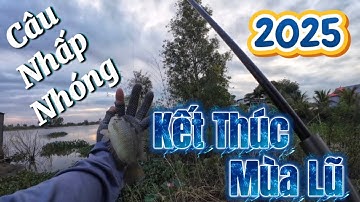 Săn Cá Thác Lác Cá Rô Cá Lóc Quá Dễ Dàng Câu Nhấp Câu Nhóng (Video 44) Kết Thúc Mùa Lũ 2025