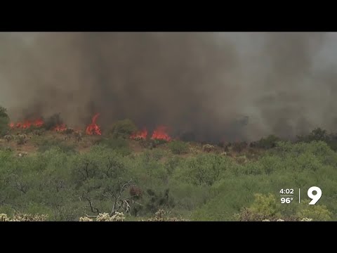 Bowl Creek Fire grows to 500 acres near Oracle Junction