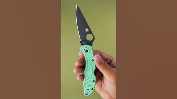 4 Best Spyderco Knives