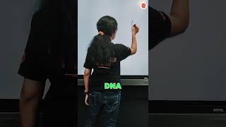 Difference Bw Gene And Dna
