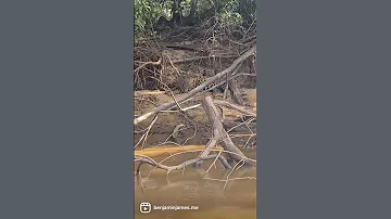 The life of a wildlife photographer