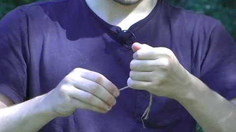 Primitive Fishing Hook / Gouge From Wood or Thorn