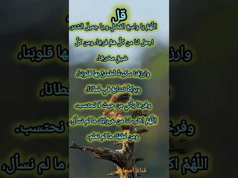 الل ه م يا واسع الفضل يا جميل الس تر اجعل لنا من كل هم فرج ا ومن كل ضيق مخرج ا