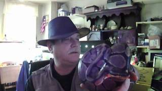 Capture 20111228 5