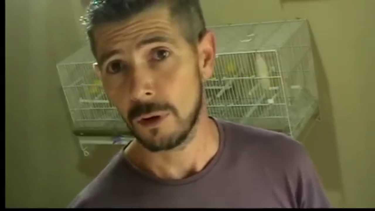 la cria de canarios ( desparasitar) - YouTube