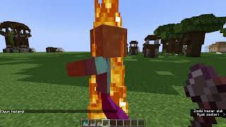 Minecraftta Nasıl Zaman Durduruluryavaşlatılırhızlandırılır? Sürüm 1.21.1