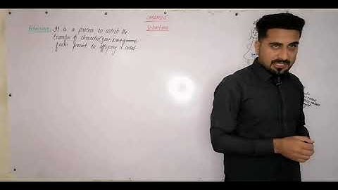 chapter no 15 inheritance lect 1 