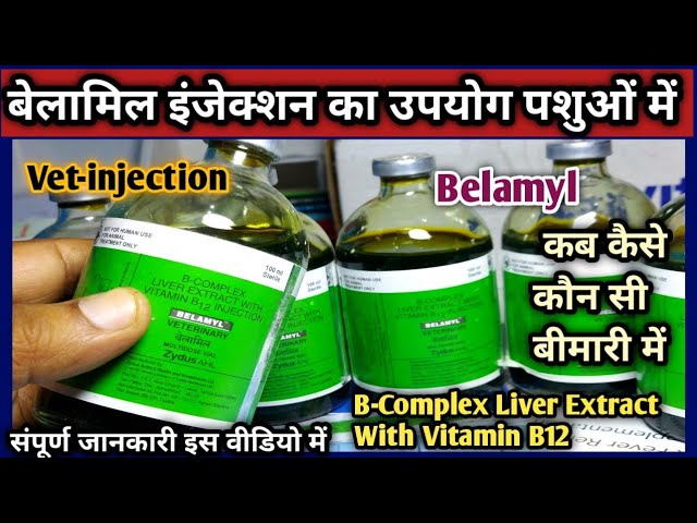 b complex liver extract with vitamin b12 injection uses Belamyl Injection||B-Complex Liver Extract With Vitamin B12|| Konsi Disease  Mein Kab Kase lagaye