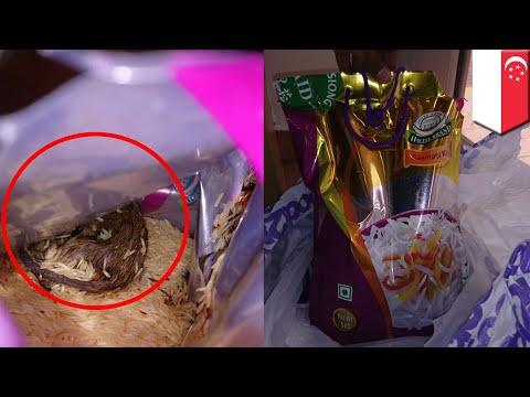 Kakek 90 Tahun Makan Cat Dikira Yogurt Tomonews Youtube