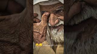 بكاء أبو هريرة/ الشيخ محمود الحسنات/ الصحابي ابو هريرة ?❤️