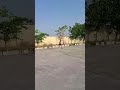 50m #sprinter #runner #trending #viral shorts #yshorts #athlete