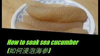 HOW TO SOAK SEA CUCUMBER (如何浸泡海参)