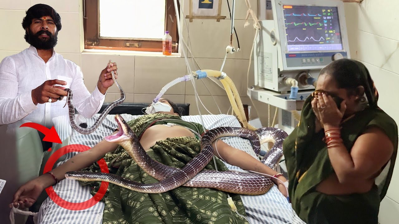 गर्दन में महिला को भारत का सबसे जहरीला सांप  कैसे बाईट किया, हॉस्पिटल हुई भर्ती, फिर क्या हुआ !😩