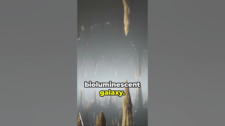 The Waitomo Glowworm Caves: New Zealand's Illuminated Underground World