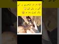 Humsafar khubsurat naat Sharif lekin Sath nibhaane wala ho har Hal#trending #video #for #varilvideo