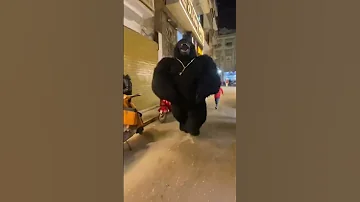بص الغوريلا بتجرى ازاى اكسبلور ارقص Funny جديدي Panda حلات تيك توك ايقنت فولو ترند 