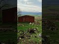 3 Kasım 2024