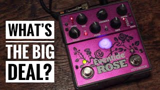 What's so great about the Eventide Rose Delay? - YouTube