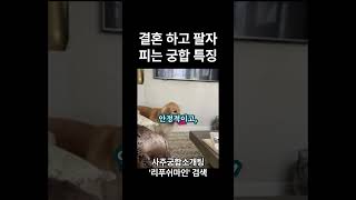 결혼하고 팔자 피는 사주 궁합 특징