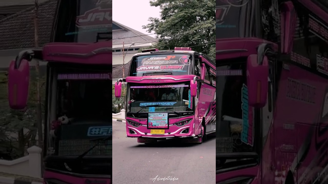 Bus Java's Queen Story' WA bus ANEKA BINTANG JAVA'S QUEEN - YouTube